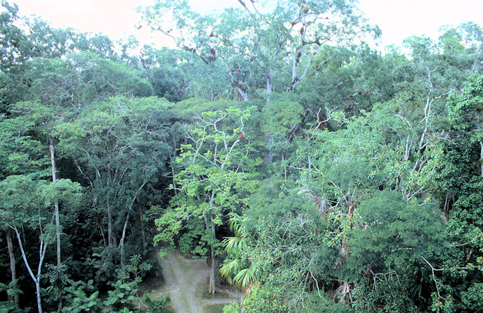 Mittelamerika 1993 1994-02-061.jpg